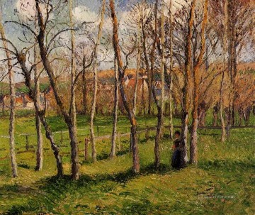 Prado en bazincourt 1885 Camille Pissarro Pinturas al óleo
